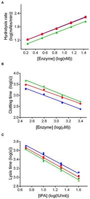 Structure, Mechanical, and Lytic Stability of Fibrin and Plasma Coagulum Generated by Staphylocoagulase From Staphylococcus aureus